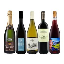 【数量限定】スパークリング&白赤ワイン5本セット