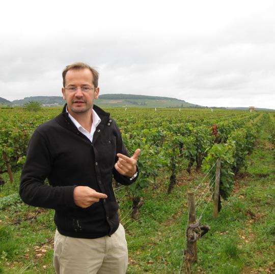 【数量限定】サヴィニー・レ・ボーヌ・ヴィエイユ・ヴィーニュ・ルージュ・2018 セガン・マニュエル