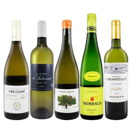 【数量限定】デイリーに楽しむ春の白ワイン5本セット