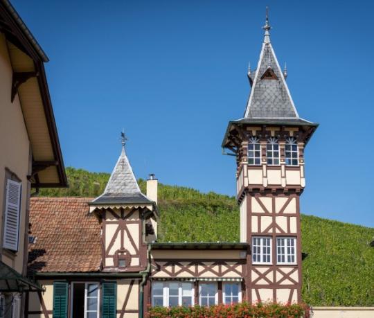 リースリング・2022・トリンバック