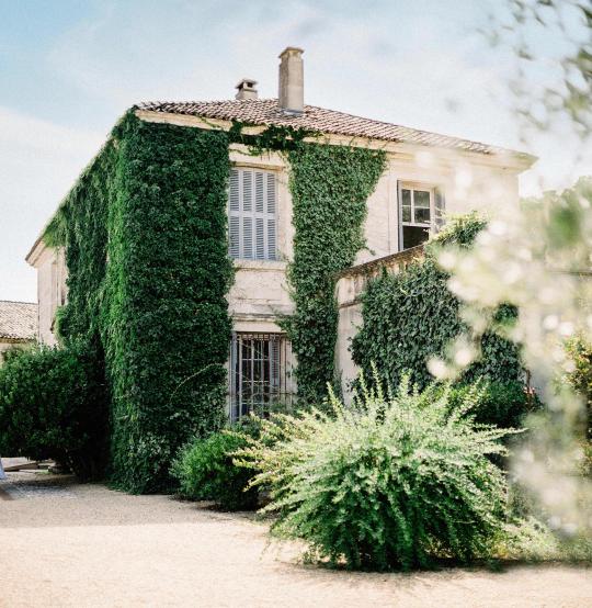 アルガリ・ブラン・2024・ピュエシュ・オー