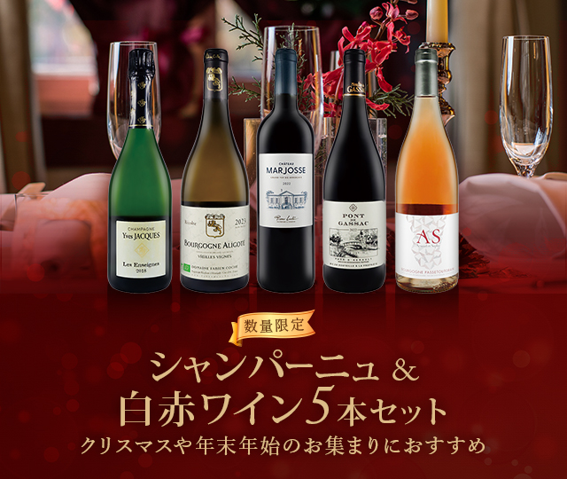 シャンパン入り5本セット
